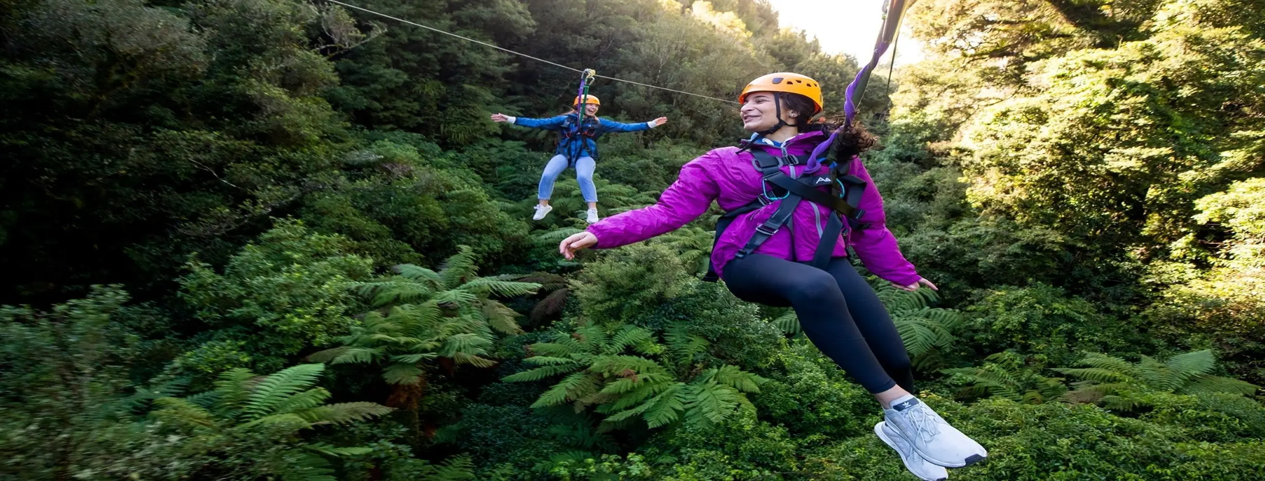 Image for Canopy Tour